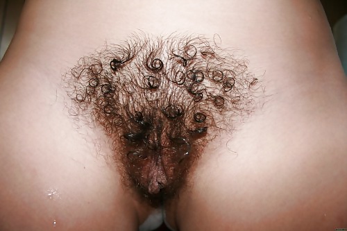 Hairy porn pictures