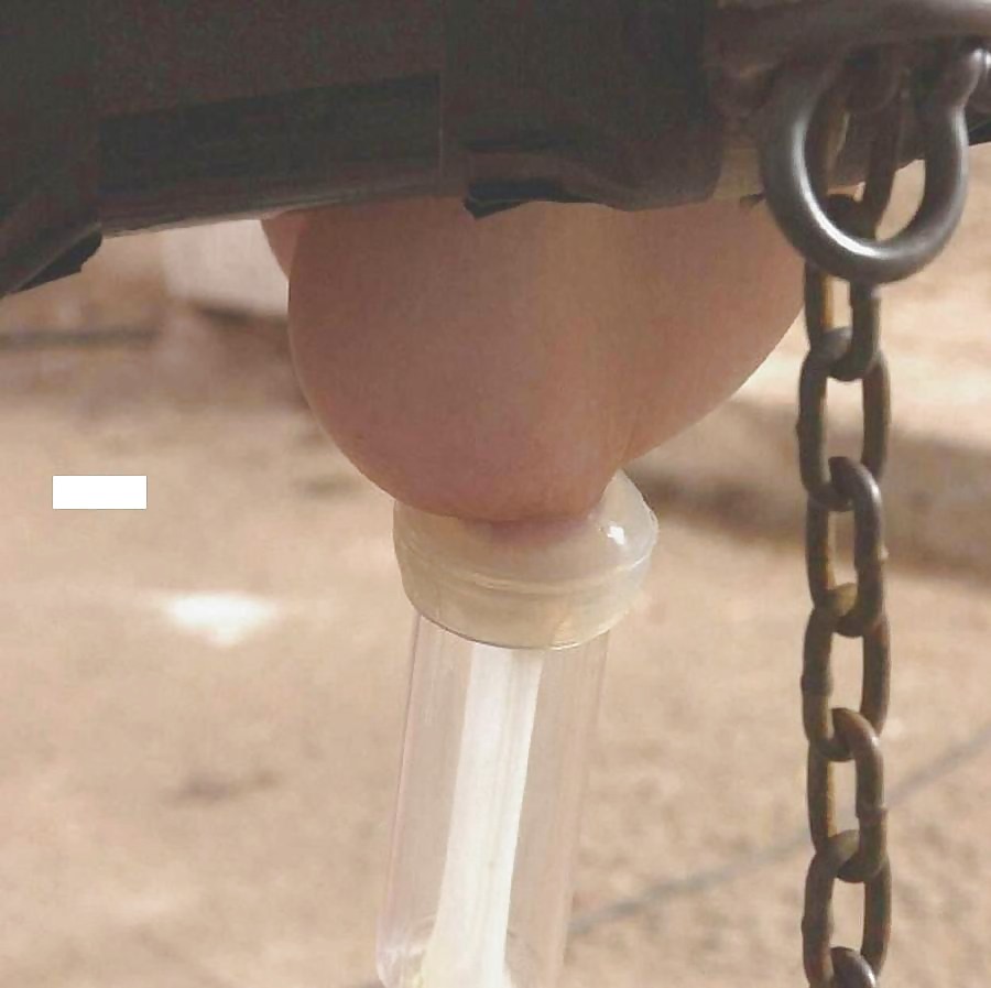milking porn pictures