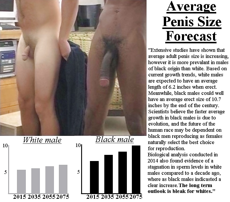 Pics of average penis - 🧡 Average Erect Penis.