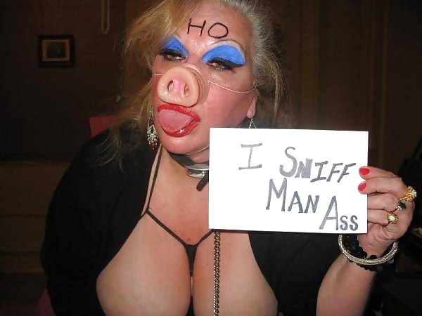 Pig Submissive Sluts porn pictures
