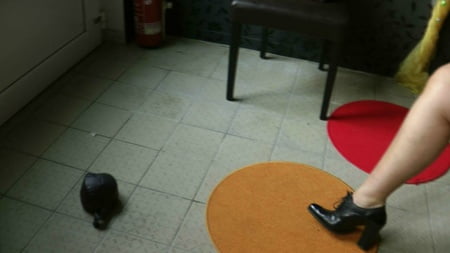 balloons for germany         