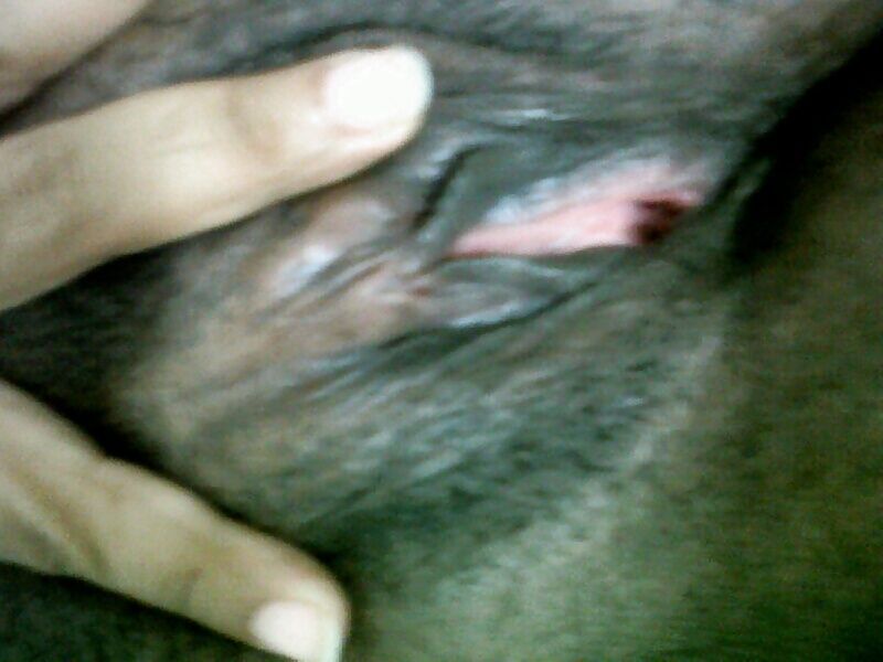 the wife porn pictures