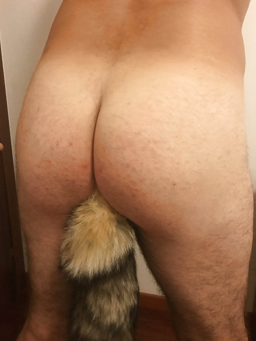 Male Ass With Foxtail Butt Plug 7 Pics Xhamster