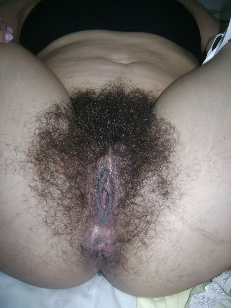 My Hairy Pussy Collection porn pictures
