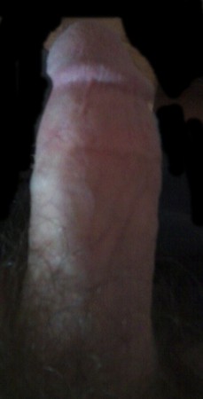 My young cock