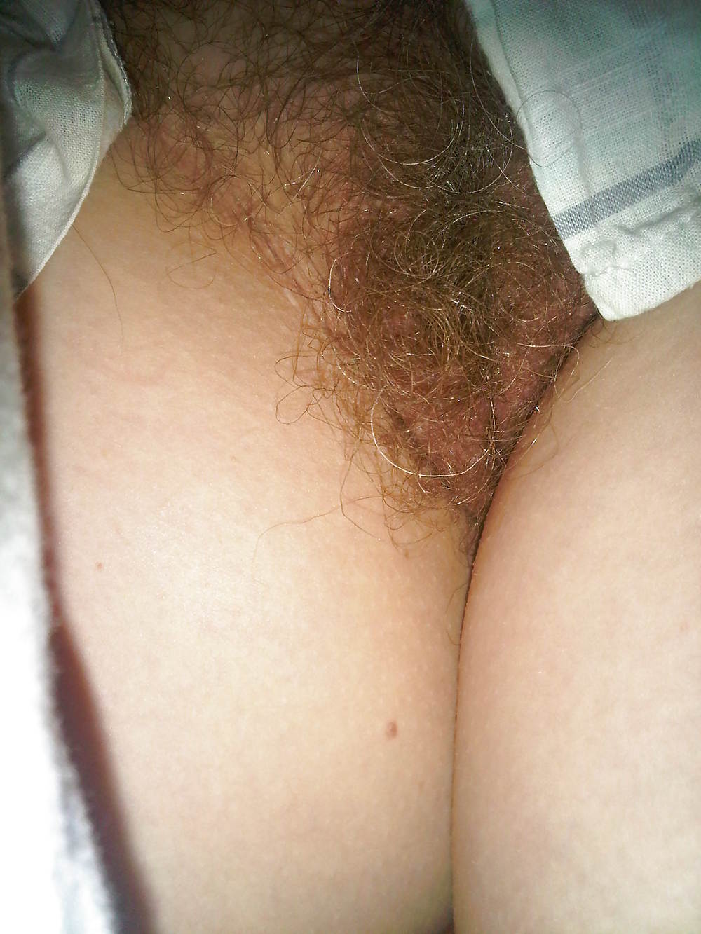 Hairy pussy & tits porn pictures