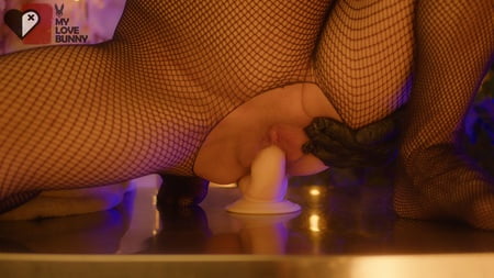 bunny mr dong mylovebunny xx         