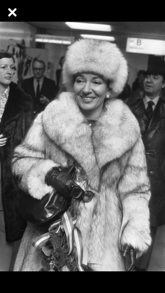 Woman in fur coat 28 - 251 Photos 