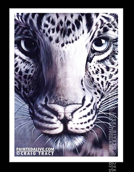 Pussy Pics porn pictures