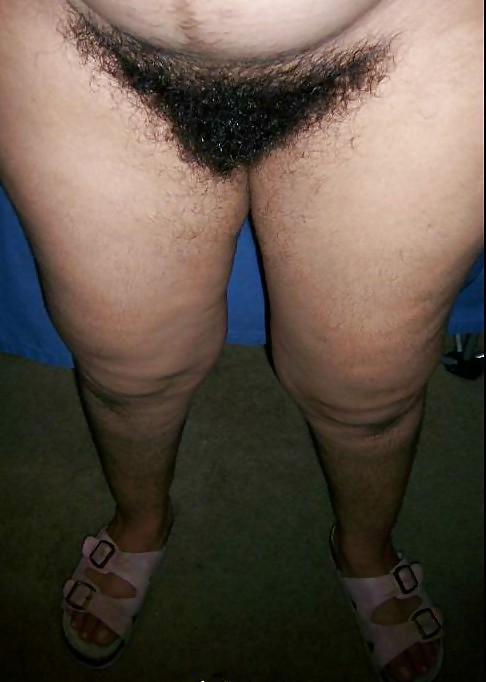 Hairy collection 3 ! porn pictures