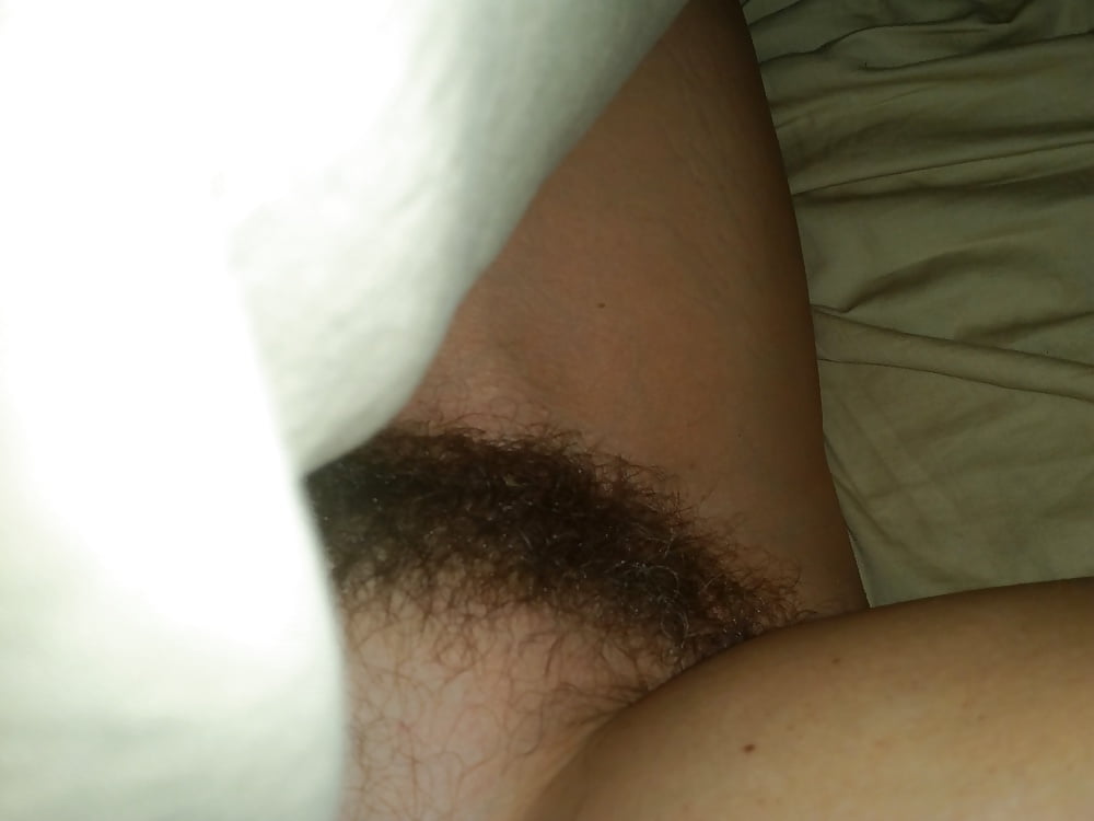 Wife's Furry Snatch porn pictures