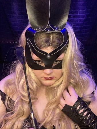 velvet rabbit free photos         