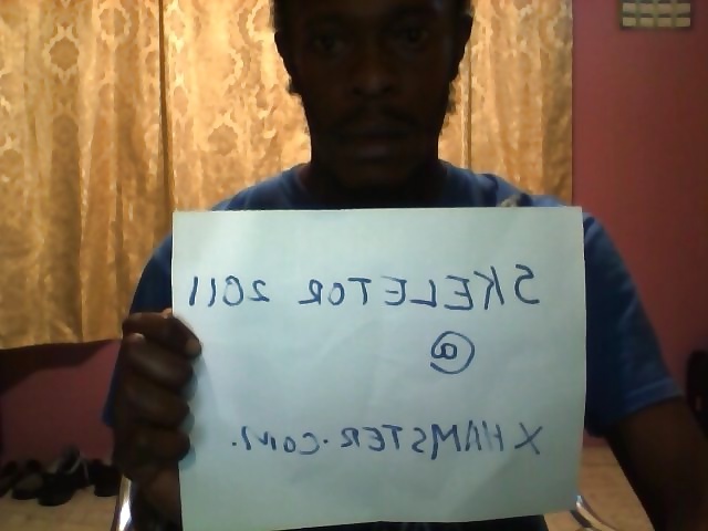 skeletor2011 introduction